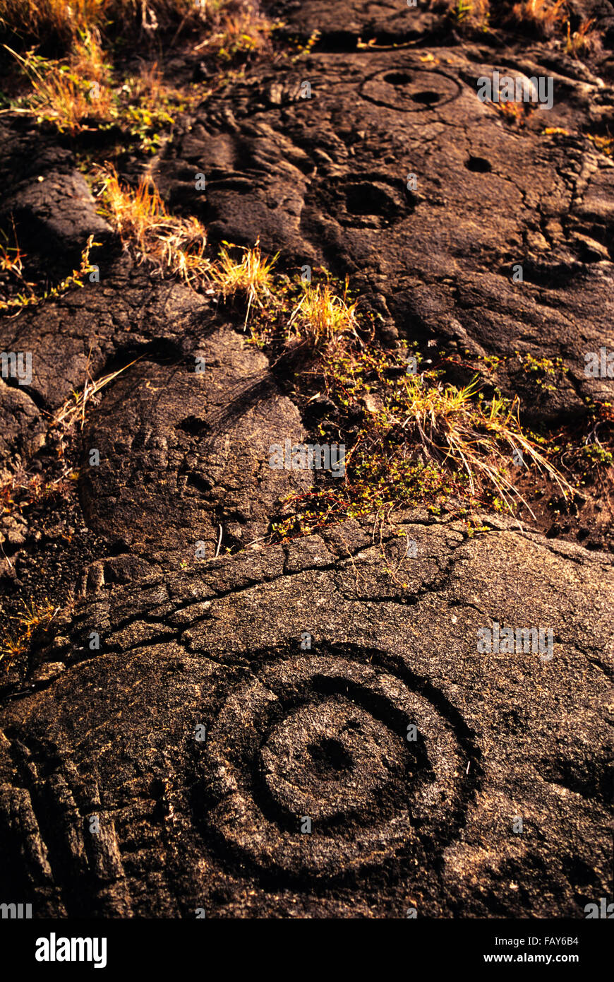 Big Island, Hawaii, Hawaii Volacoes National Park, Pu`uloa Petroglyphs in the ahupua`a(land division) of Panau Nui Stock Photo